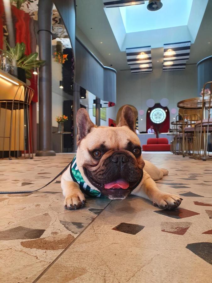 Hotel Grand קופר מראה חיצוני תמונה